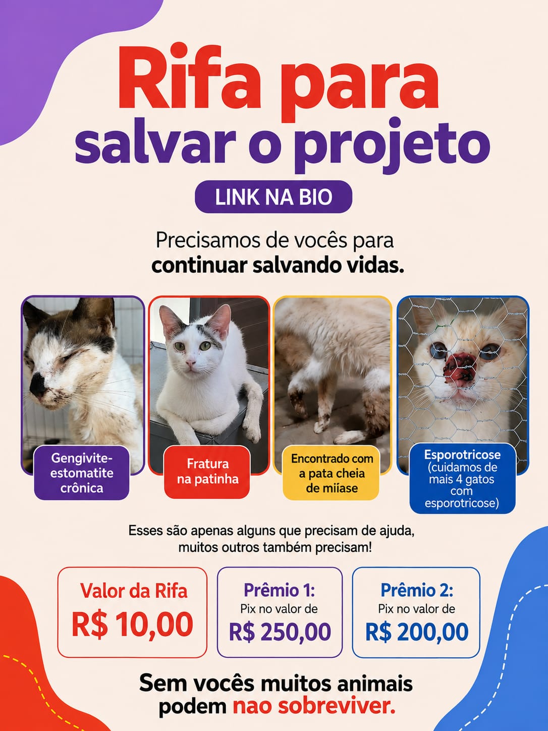 Vamos salvar o projeto?