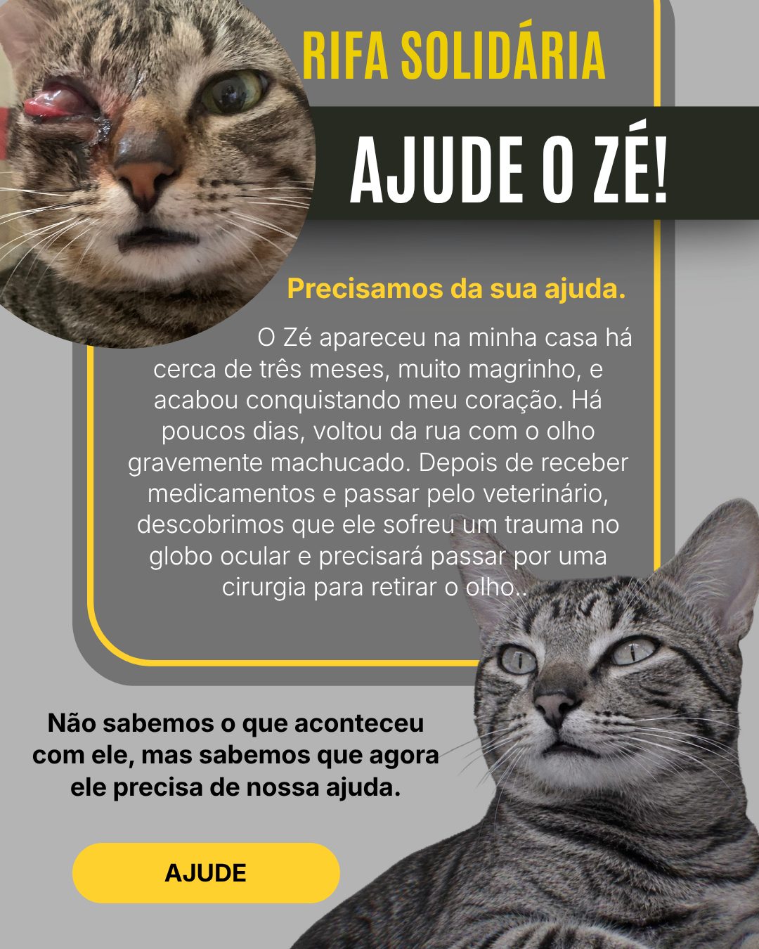 Ajude o Zé! Cirurgia Emergencial ...